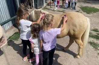 Julinek Wioo przygodo hobby horse 2025