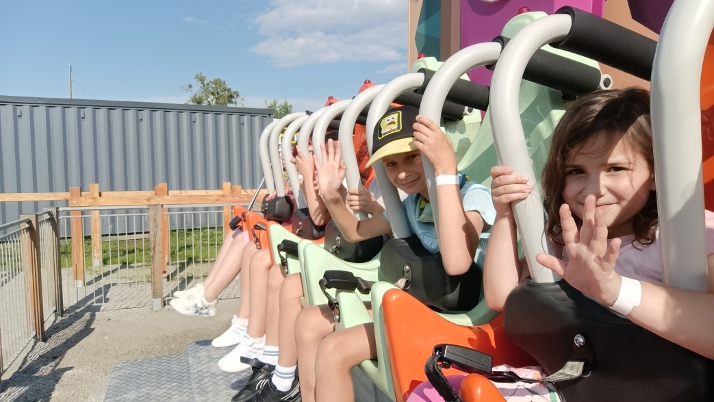 Kolonie w lesie w Kampinoskim Parku Narodowym