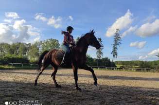Konie - Obóz jeździecki z odznakami PZJ-Runowo-polska-lato