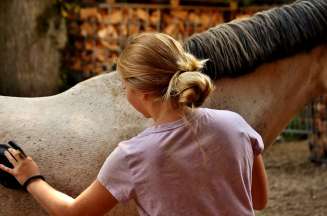Muszyna-Konny-obóz-Polska-lato
