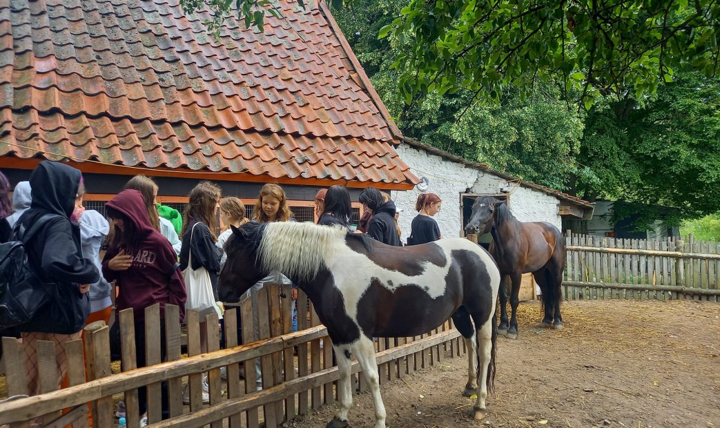 Grupa młodzieży przy zagrodzie koni