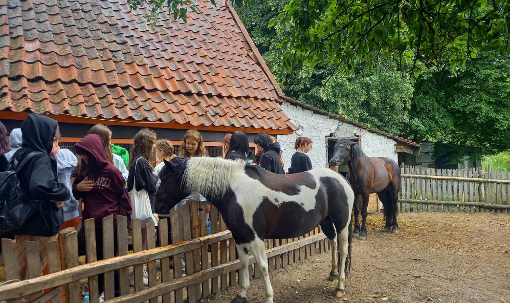 Grupa młodzieży przy zagrodzie koni