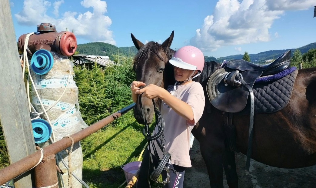 Dziewczyna opieka nad koniem