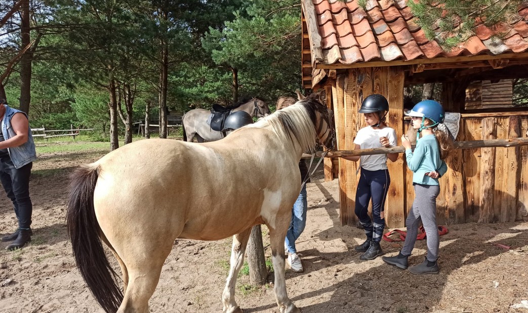 Obóz konny w pieckach