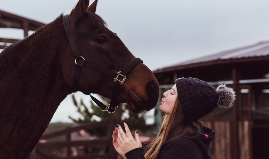 Runowo pocałunek z koniem
