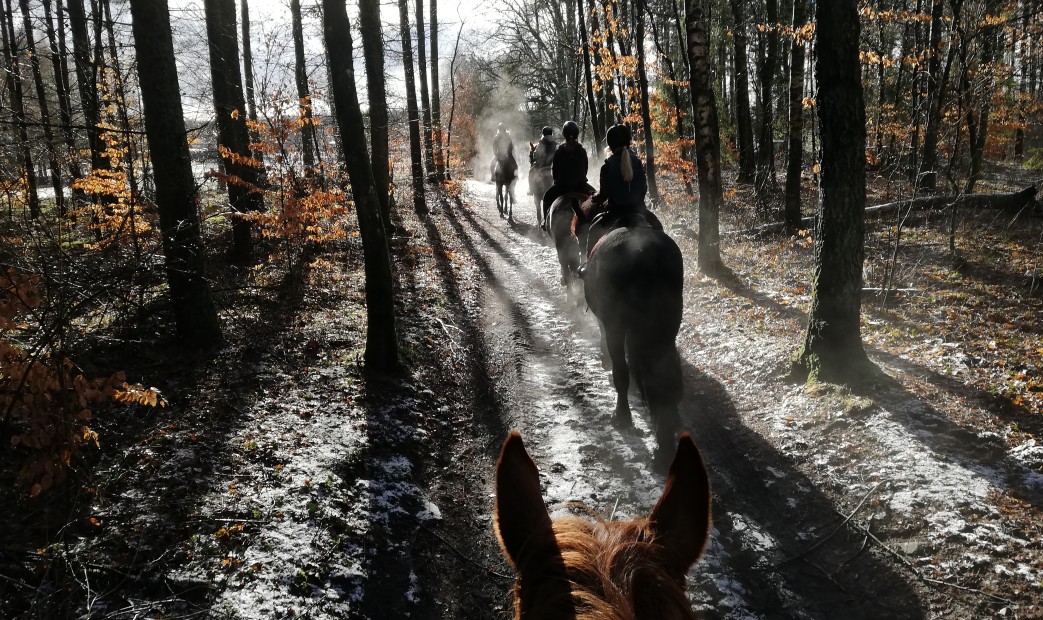 Młodzież na koniach  zimą w Runowie