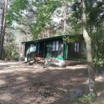 Wiele Beaver kolonie i obozy