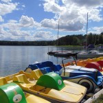 Wiele Beaver kolonie i obozy