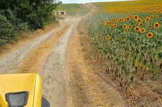 Złote Piaski - obóz ze zwiedzaniem Warny i Jeep Safari - wylot z Warszawy